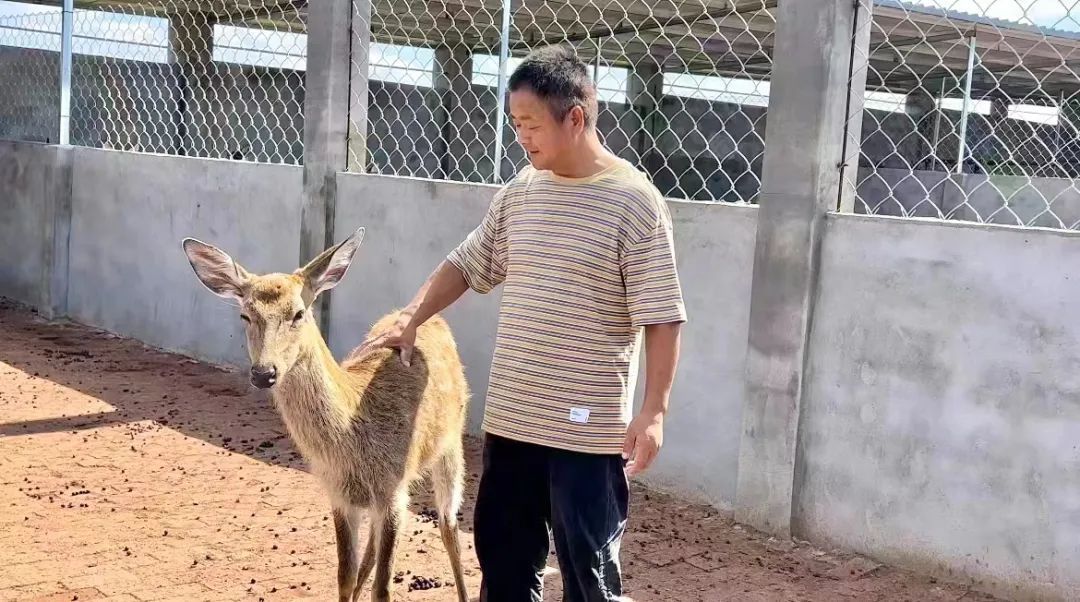 银河彩票汇